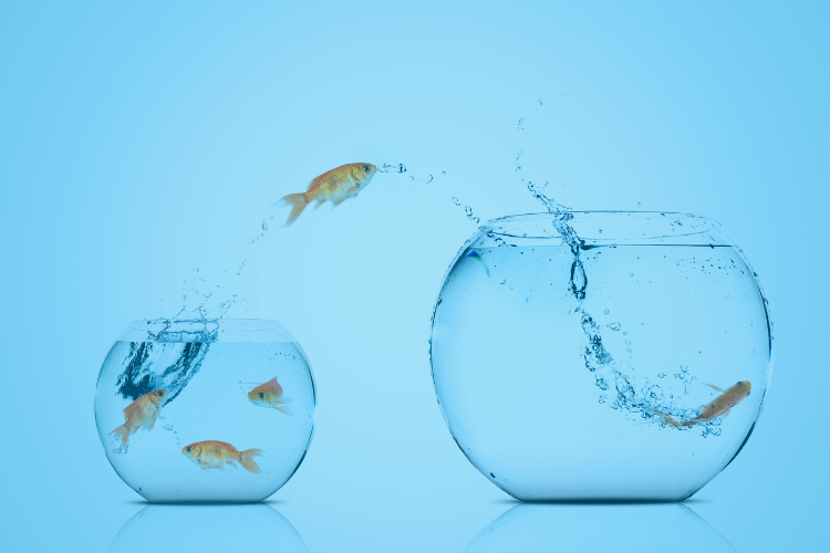 how to become a better substitute teacher