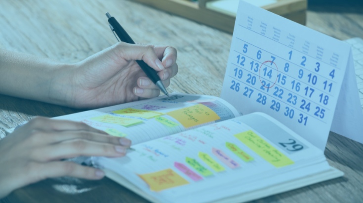 Substitute teachers have complete control over the own schedule 