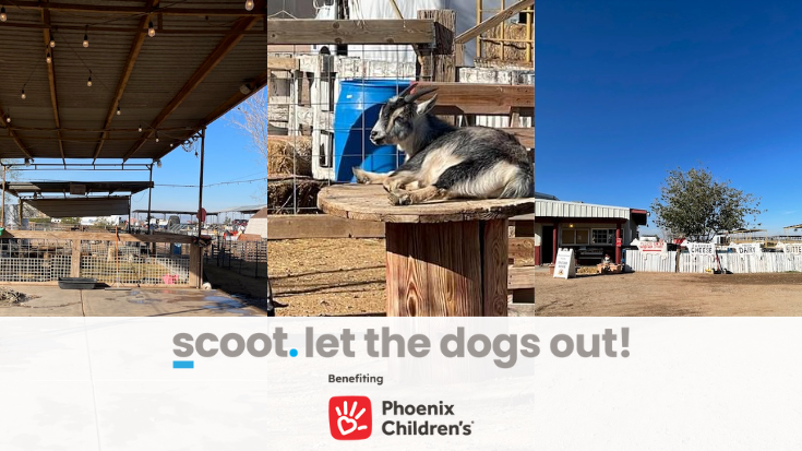 Scoot Education phoenix, arizona fundraiser